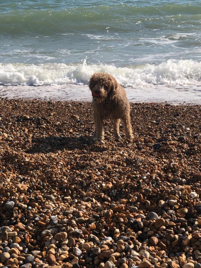 Poets Rest, Free Parking, Ev Socket Fees Apply Walk To Beach Brighton Exteriör bild